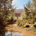 Photo taken by Leah H