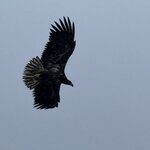 Photo taken by Andrew S