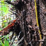 Photo taken by Mordechay T