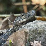 Photo taken by Martin L