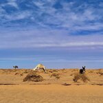 Photo taken by Jackie O