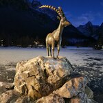 Photo taken by Jocelyn C