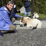 Photo taken by Rebecca C