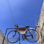 Photo taken by Michelle L