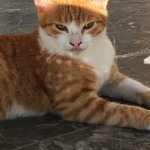 Photo taken by Lisa R