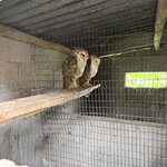 Photo taken by Lisa P