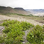 Photo taken by Shawn C