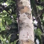 Photo taken by Anna L