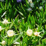 Photo taken by Eric T