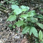 Photo taken by Weston L