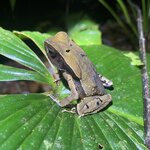 Photo taken by Kim L