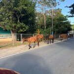 Photo taken by Don M