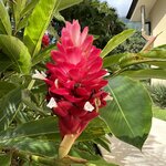 Photo taken by Victoria C