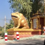 Photo taken by shelly s