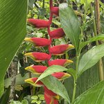 Photo taken by prakash m