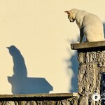 Photo taken by Aaron L