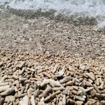 Photo taken by Kaitlin J