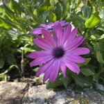 Photo taken by Doug A