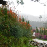 Photo taken by Brett F