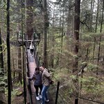 Photo taken by Fernanda S