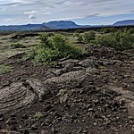 Photo taken by Sarah C