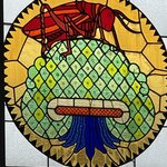 Photo taken by Priya R