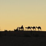 Photo taken by Mark W