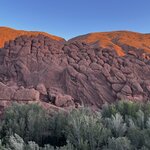 Photo taken by Patty N