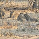 Photo taken by rafiq m