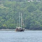 Photo taken by Lisa M