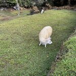 Photo taken by Melanie M