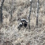 Photo taken by Catie S. C