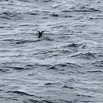 Photo taken by Christy L