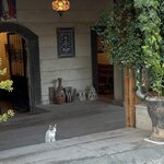 Photo taken by Patricia O