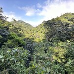 Photo taken by Lauren A