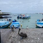 Photo taken by Kayla H