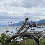 Photo taken by Mike C