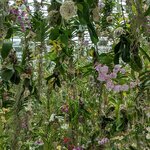 Photo taken by PADMABEN P