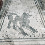 Photo taken by Andrea Z