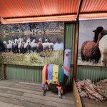 Photo taken by Nicolette S