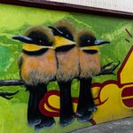 Photo taken by Kim C