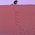 Photo taken by Kuruvilla J