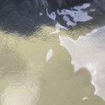 Photo taken by Daniela G