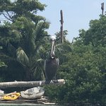 Photo taken by Juliette S