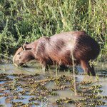 Photo taken by Kelvin V