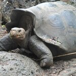 Photo taken by Patricia D