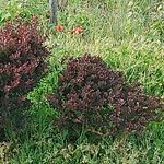 Photo taken by George N