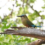 Photo taken by Graeme W