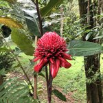 Photo taken by Anna L