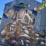 Photo taken by Drew M